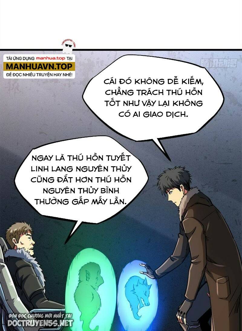 Chapter 161