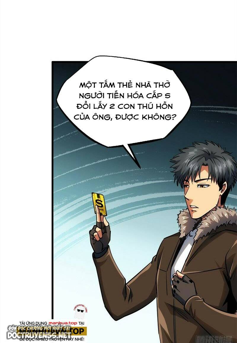 Chapter 161