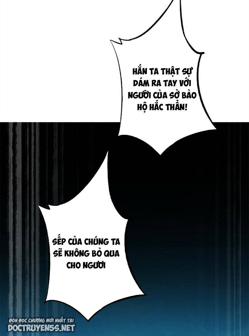 Chapter 161