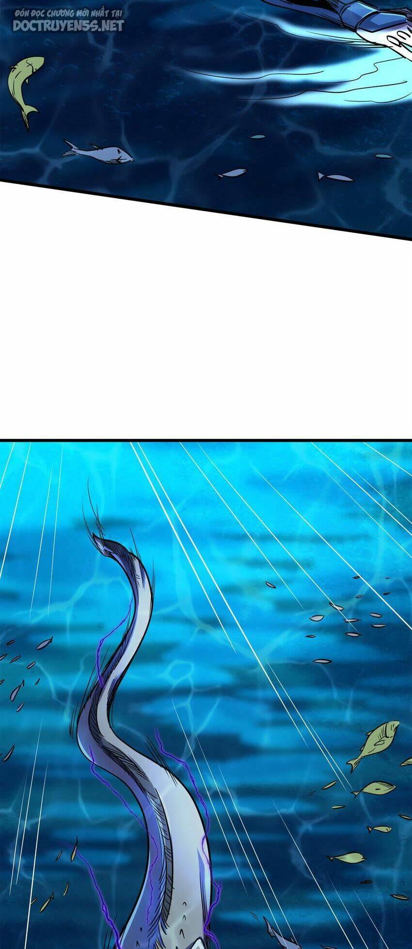 Chapter 162