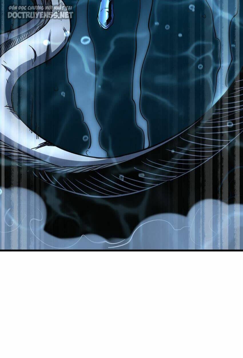 Chapter 162