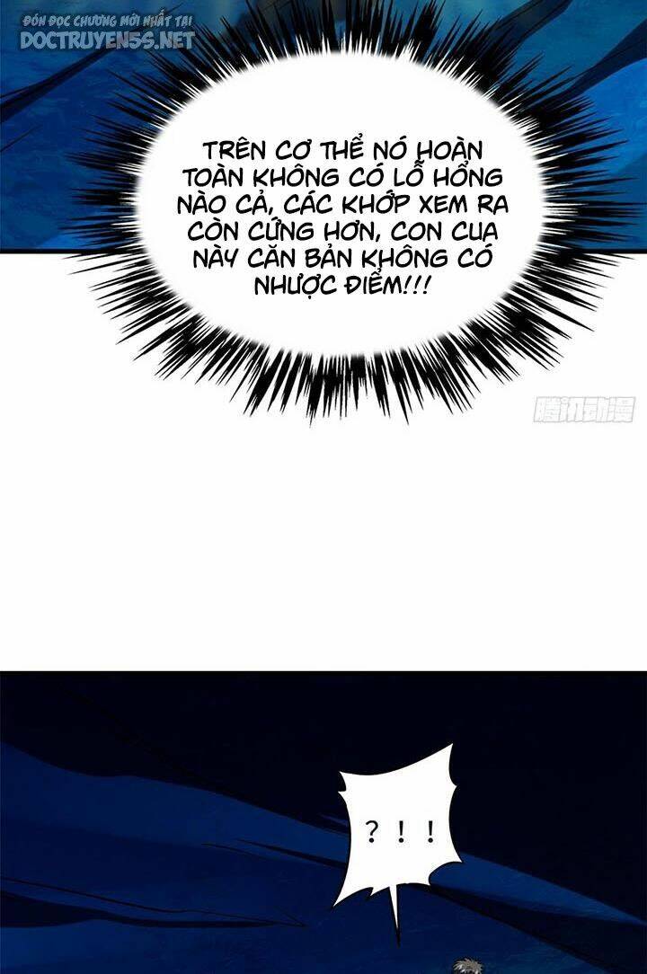Chapter 163
