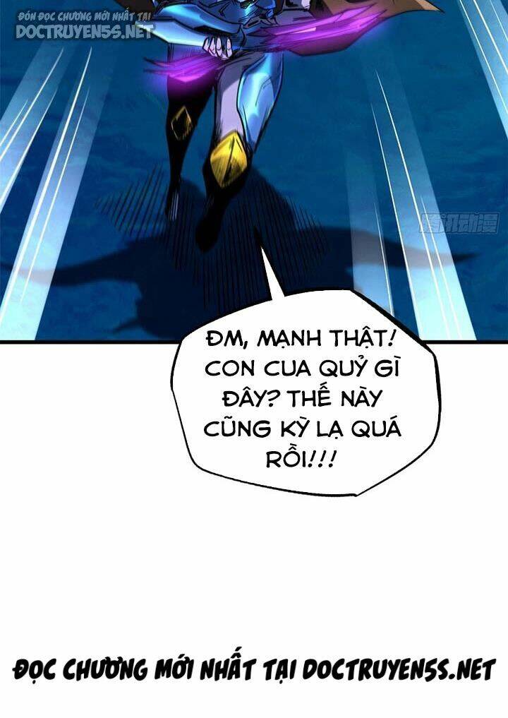 Chapter 163