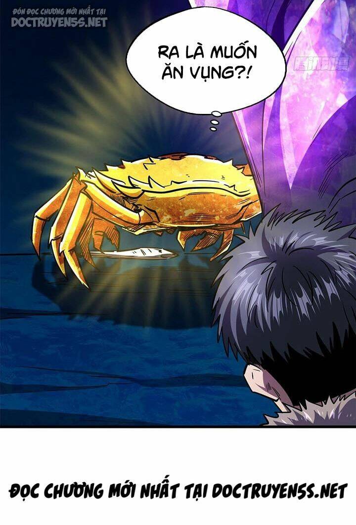 Chapter 163