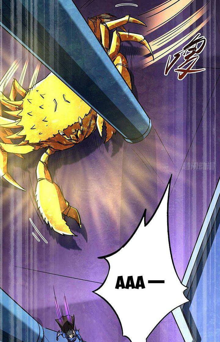 Chapter 164