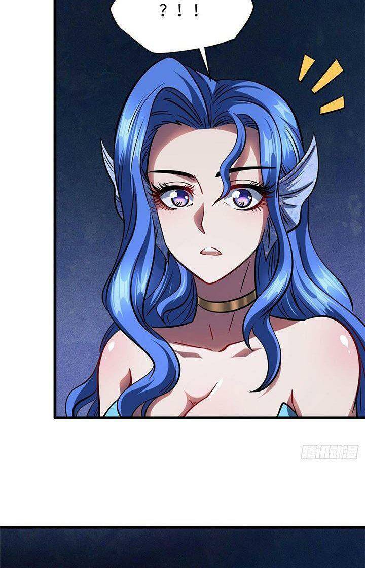 Chapter 164