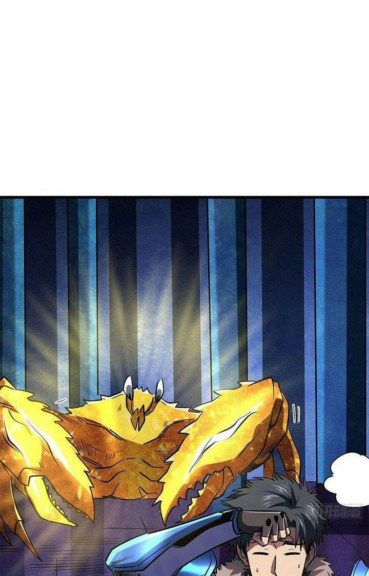 Chapter 164
