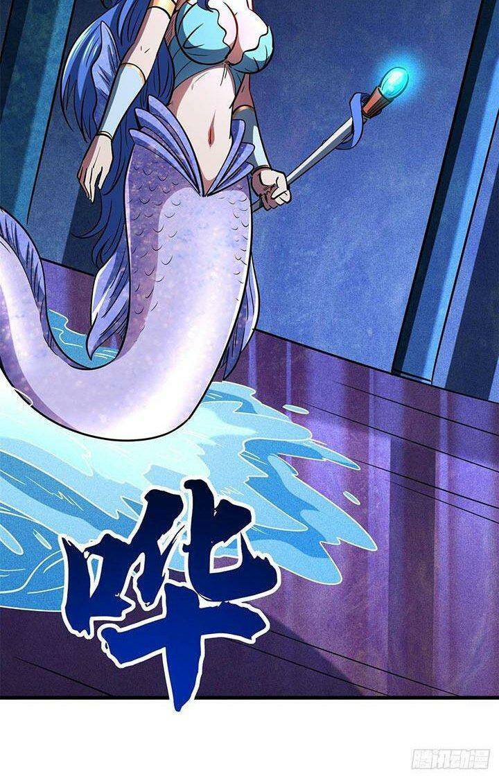 Chapter 164
