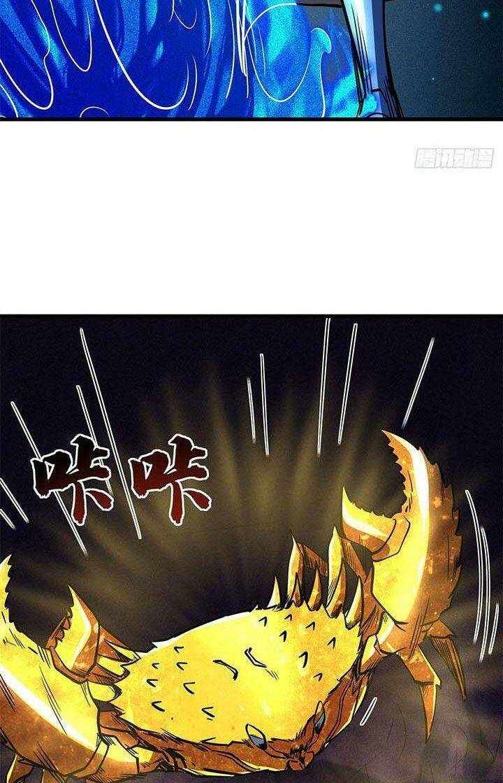 Chapter 164