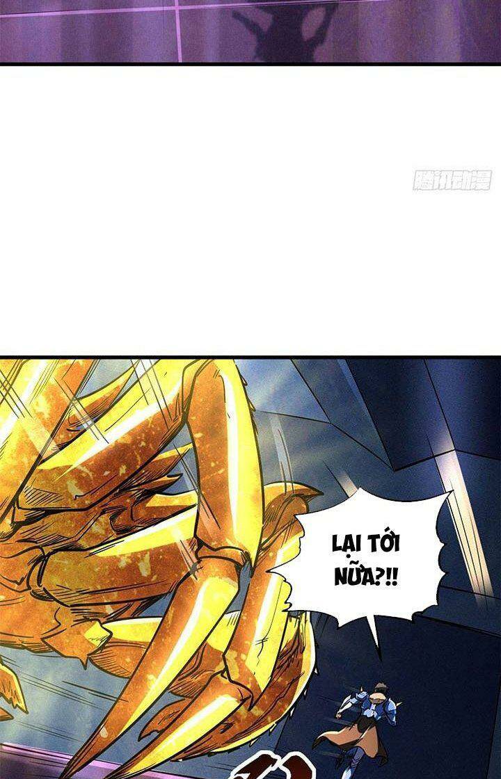 Chapter 164