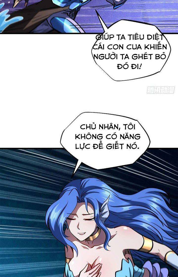 Chapter 164