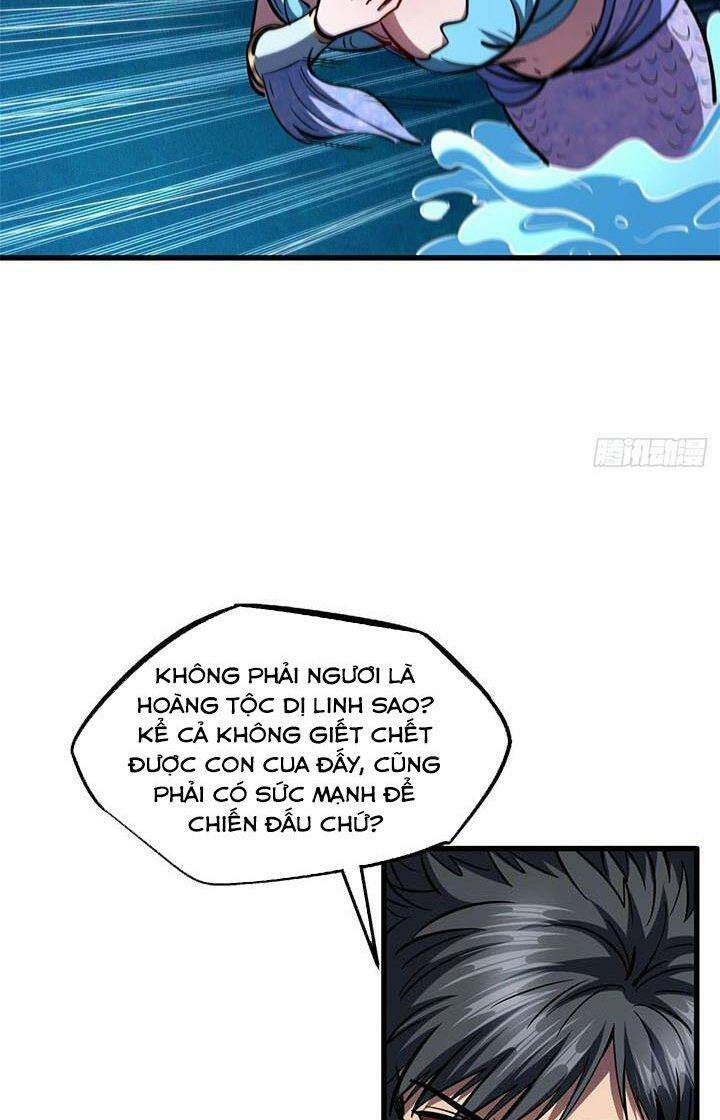 Chapter 164