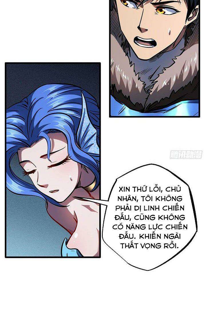 Chapter 164