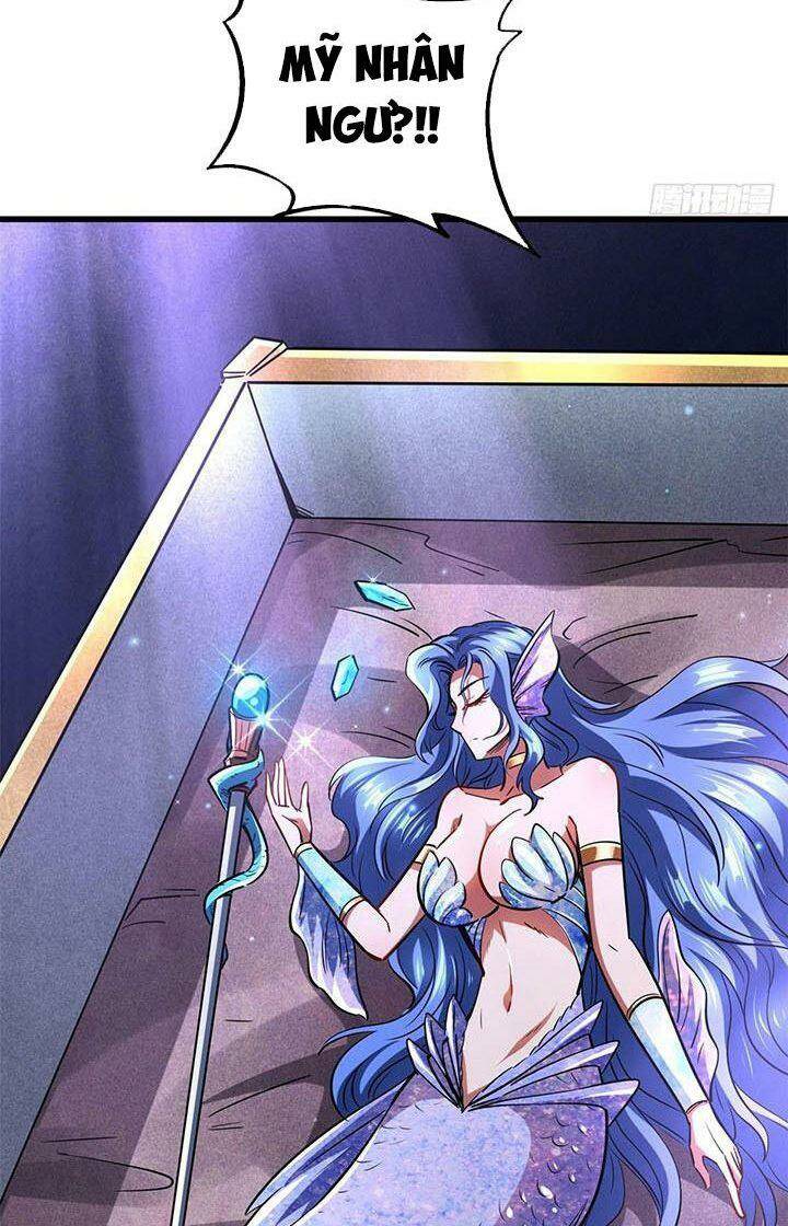 Chapter 164