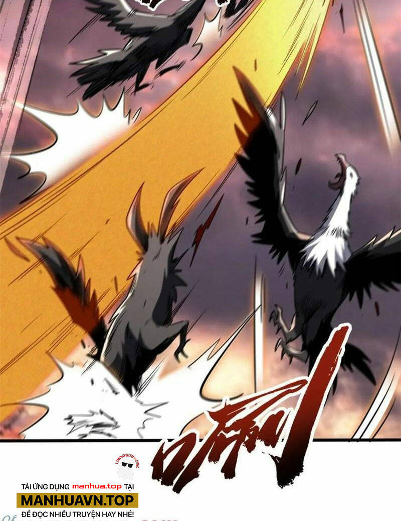 Chapter 173