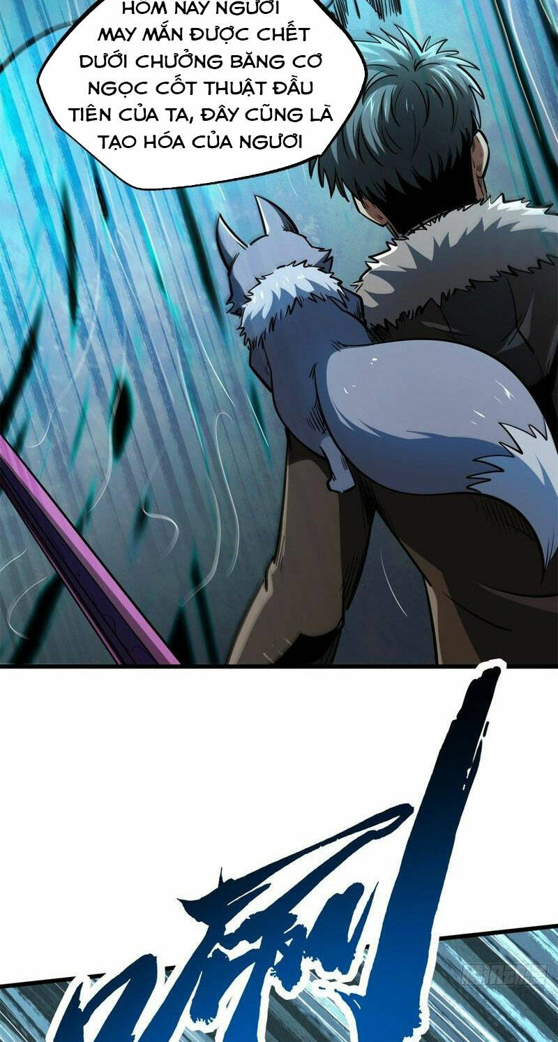 Chapter 193