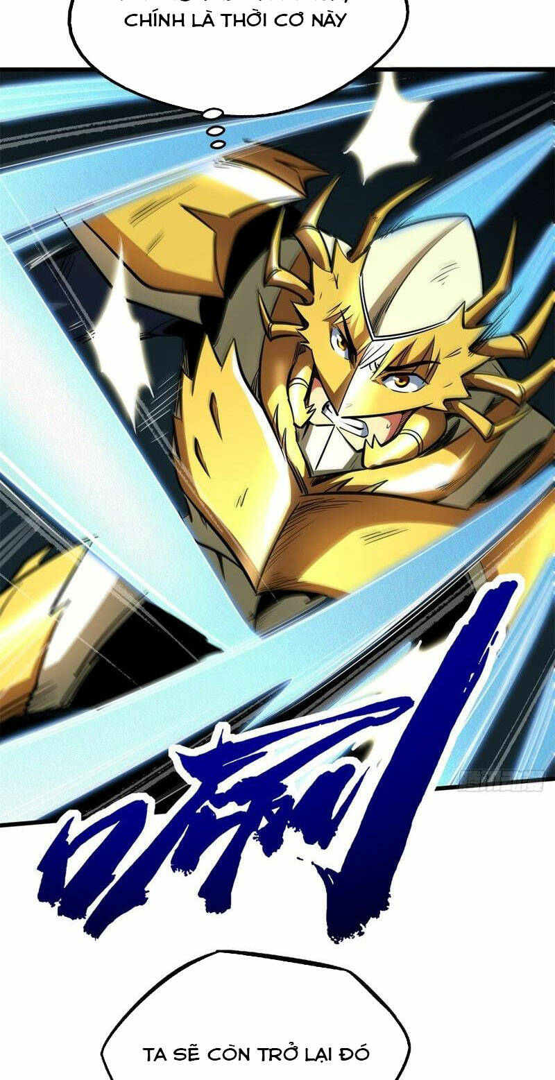 Chapter 193