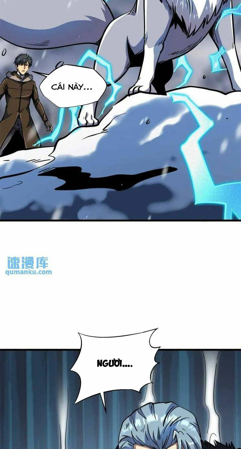 Chapter 194