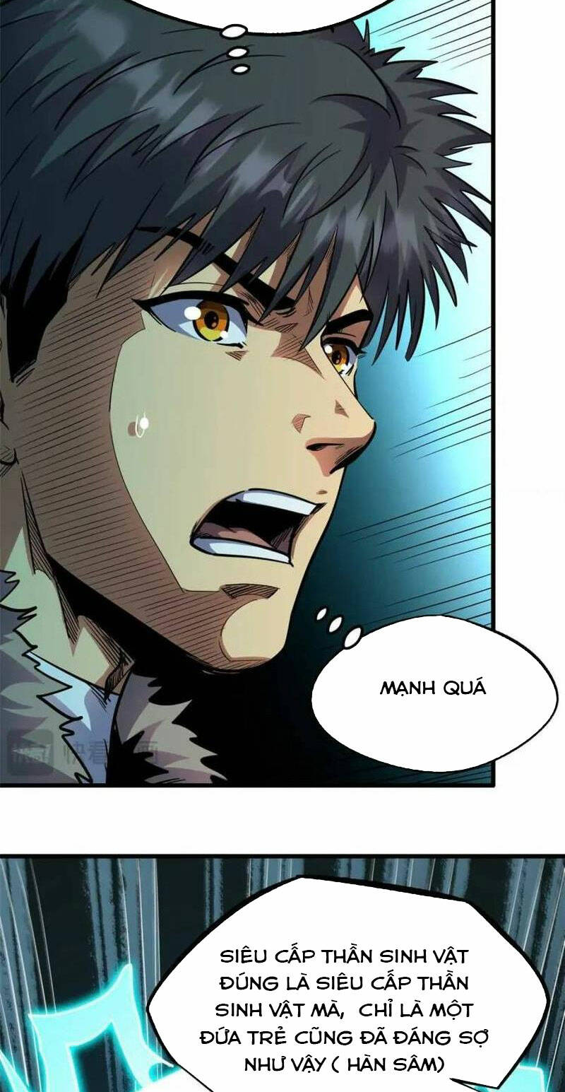 Chapter 194