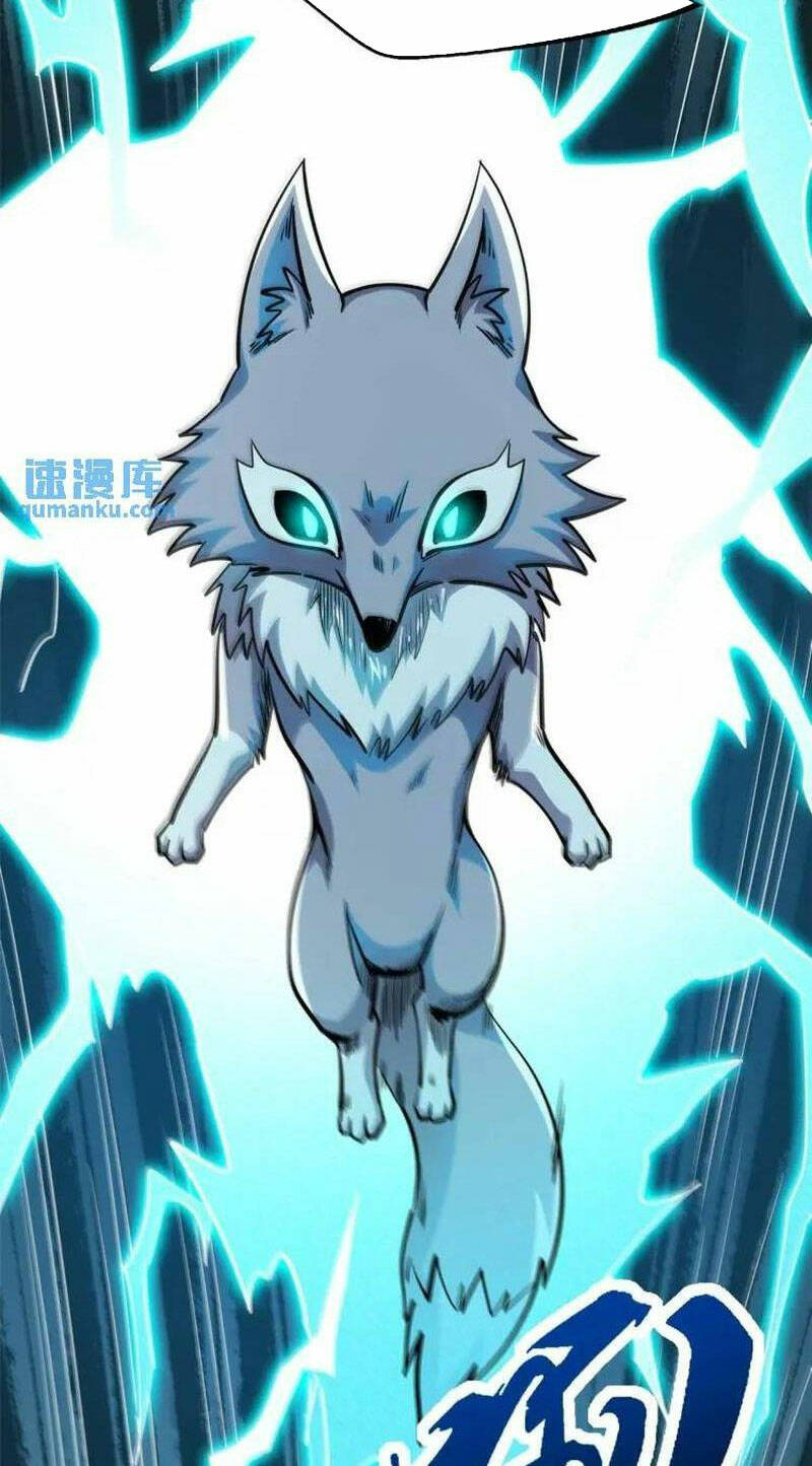 Chapter 194