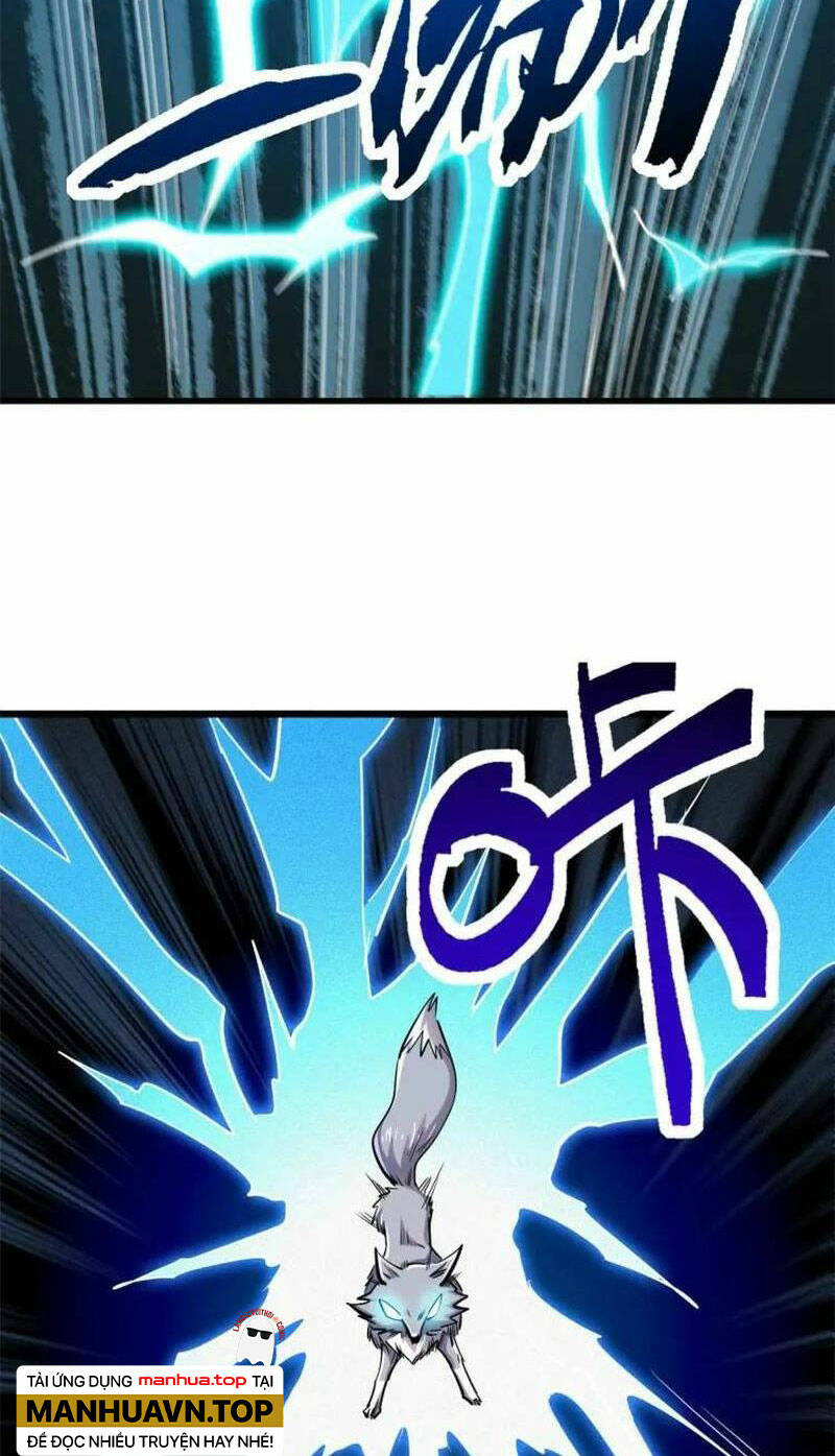 Chapter 194