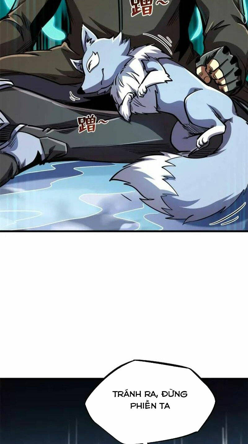 Chapter 194