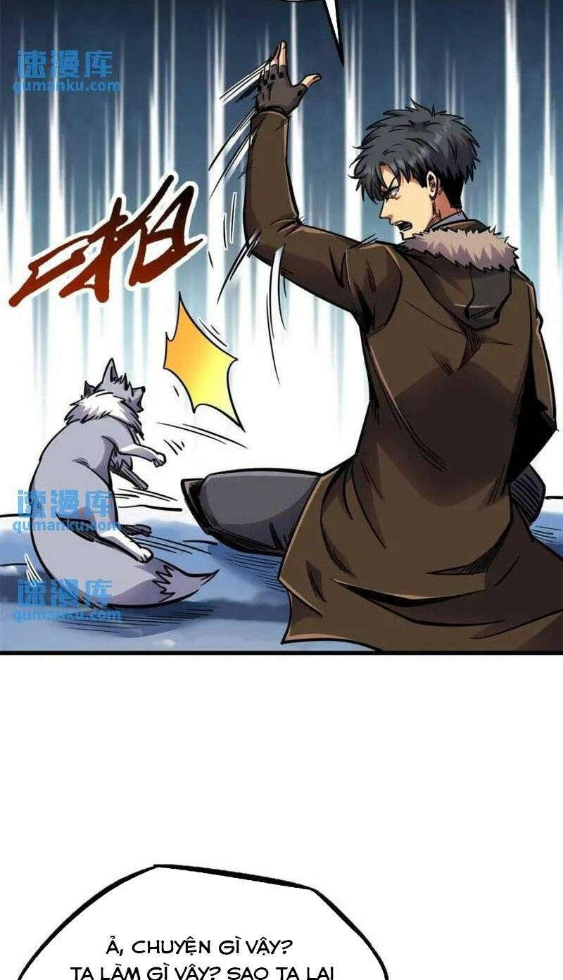 Chapter 194