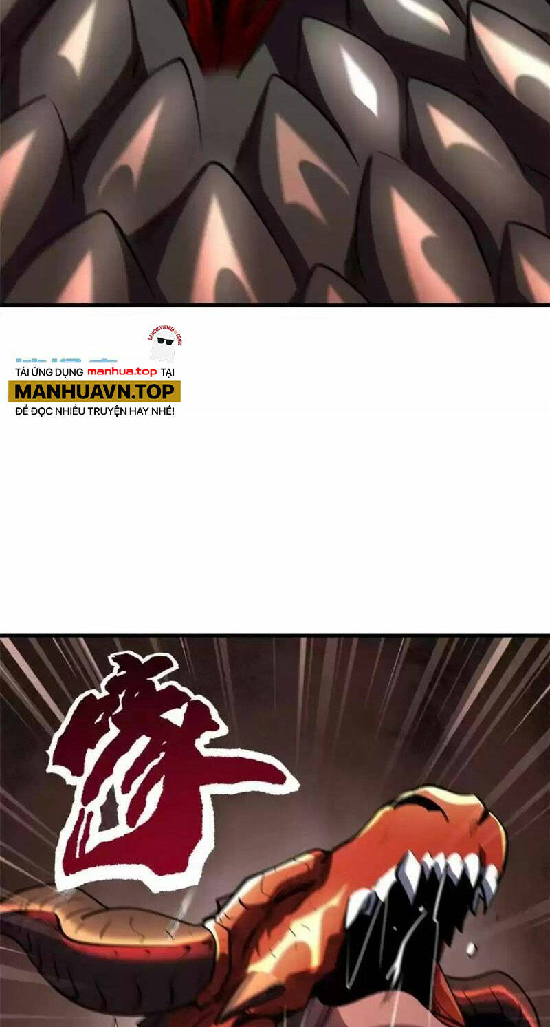 Chapter 197