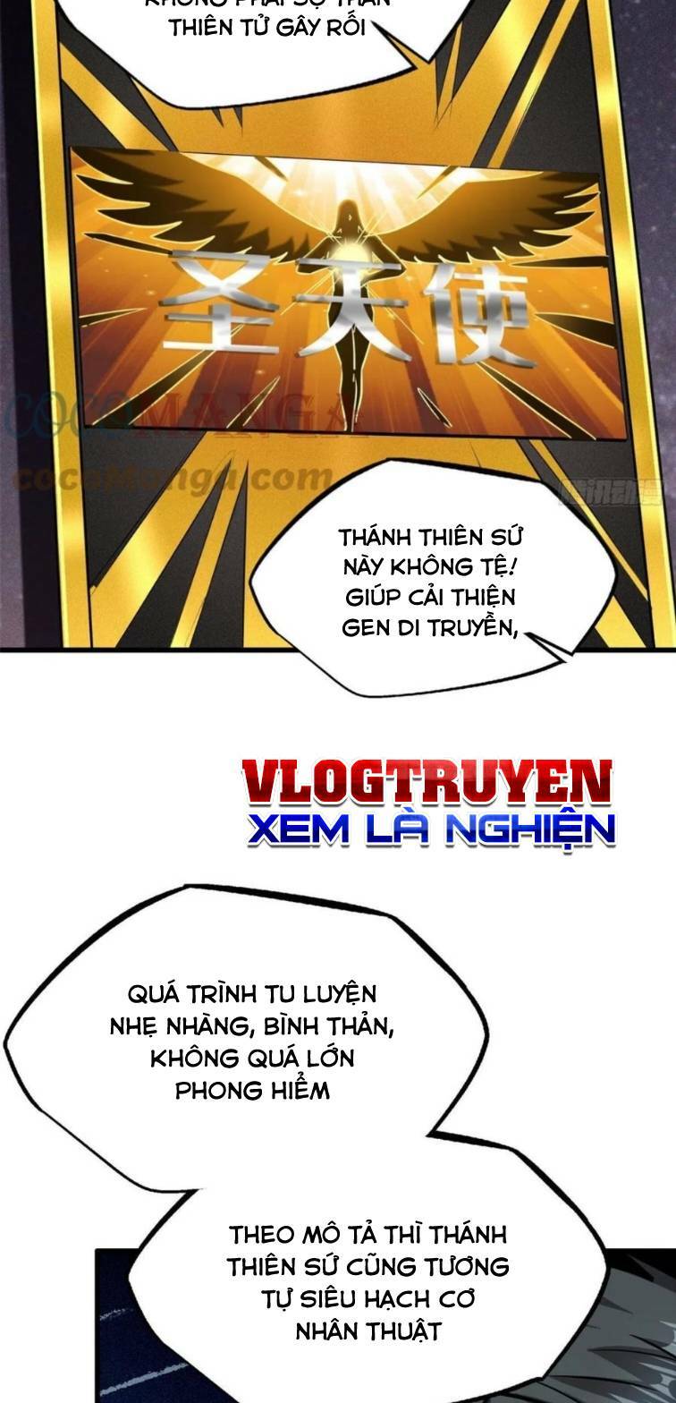 Chapter 33
