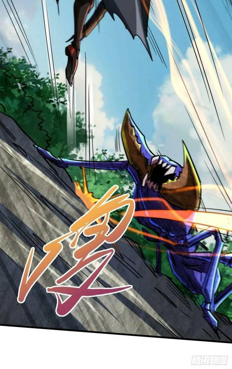 Chapter 61