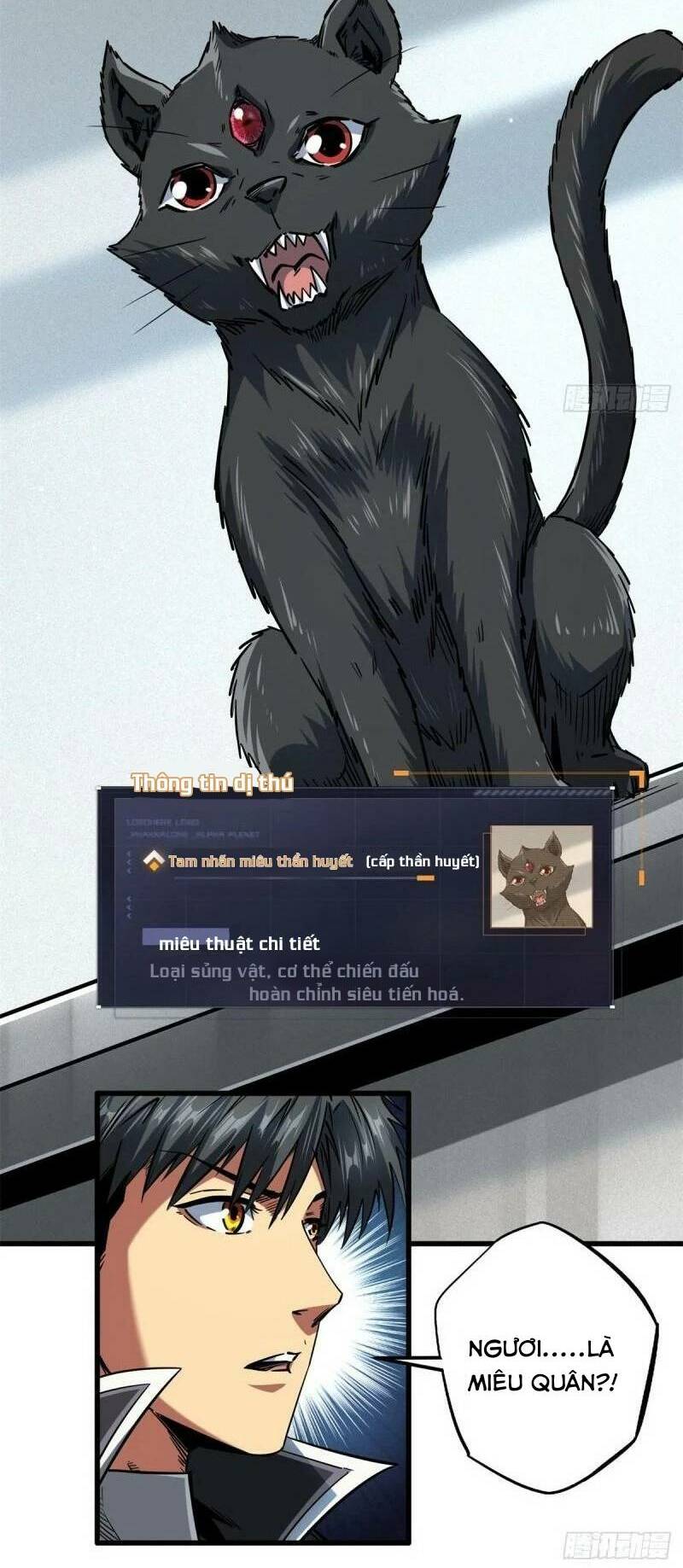 Chapter 66