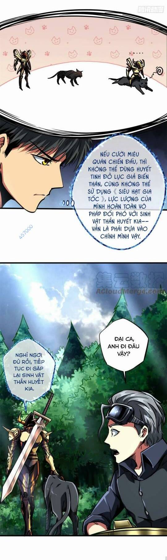 Chapter 91