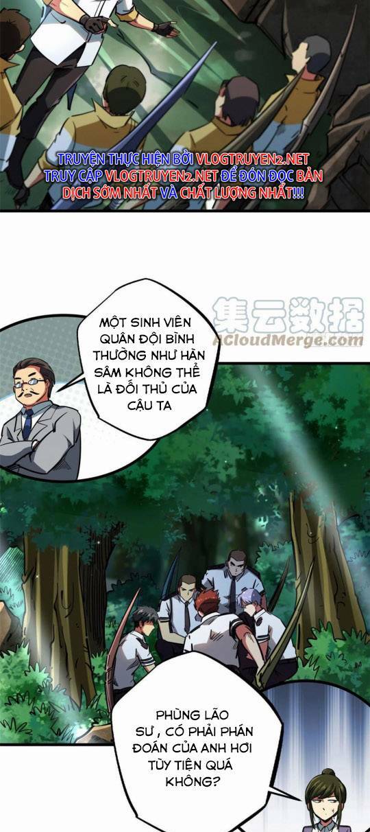 Chapter 95