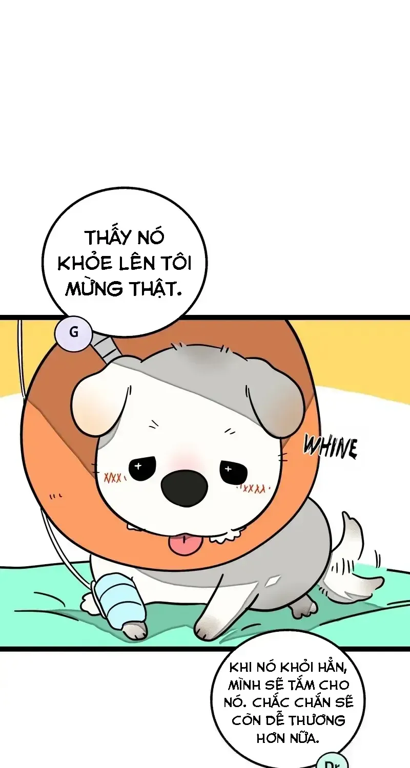 Chapter 70
