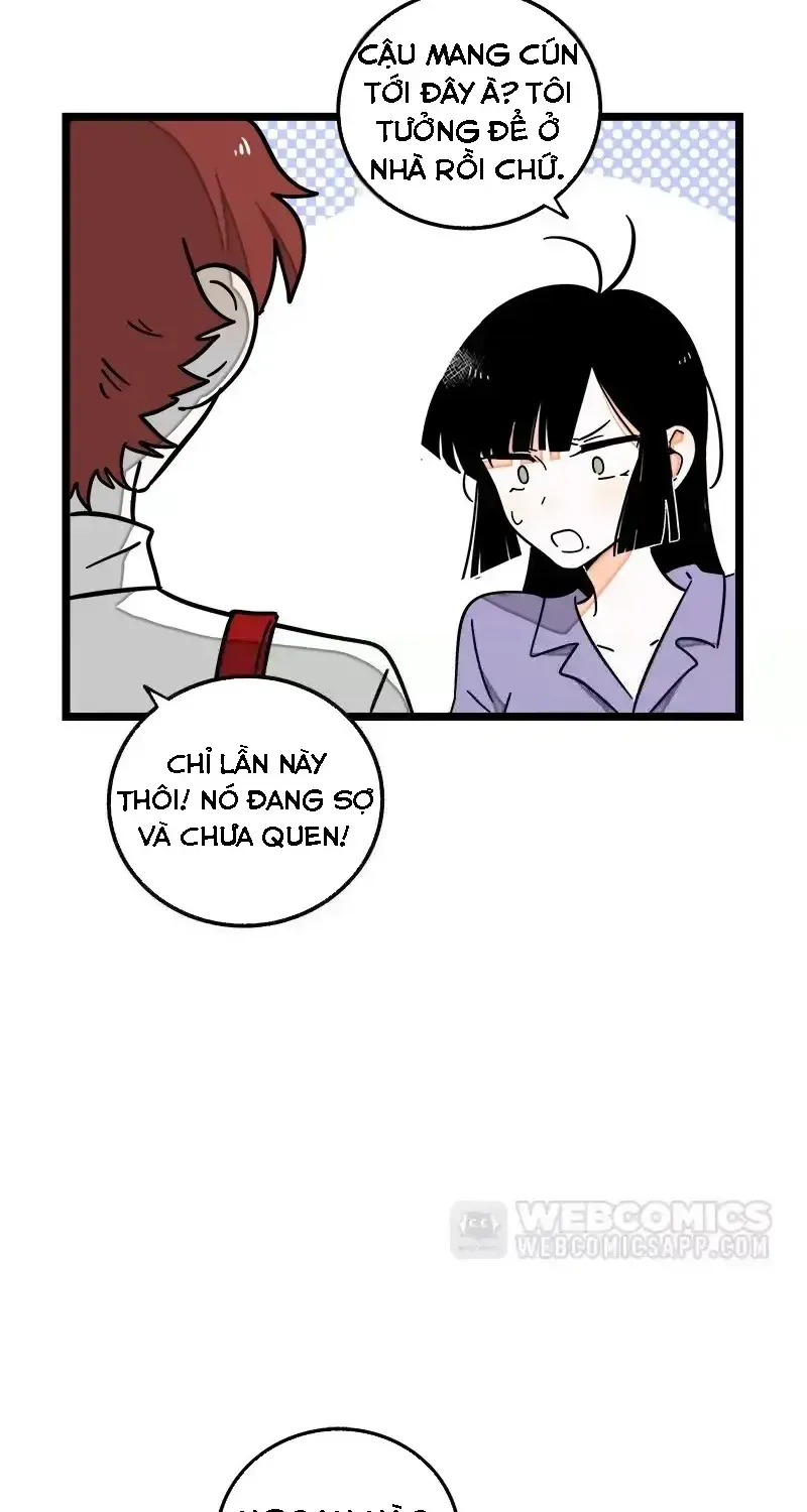 Chapter 70