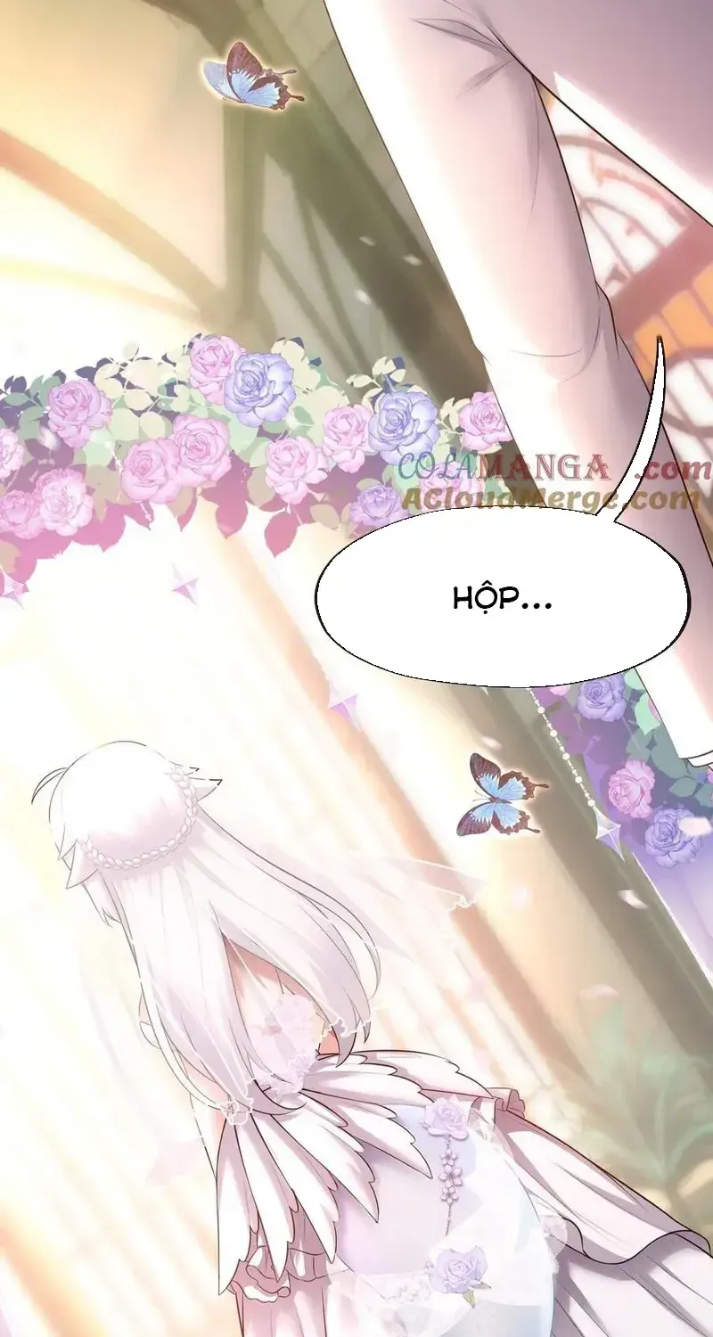 Chapter 71