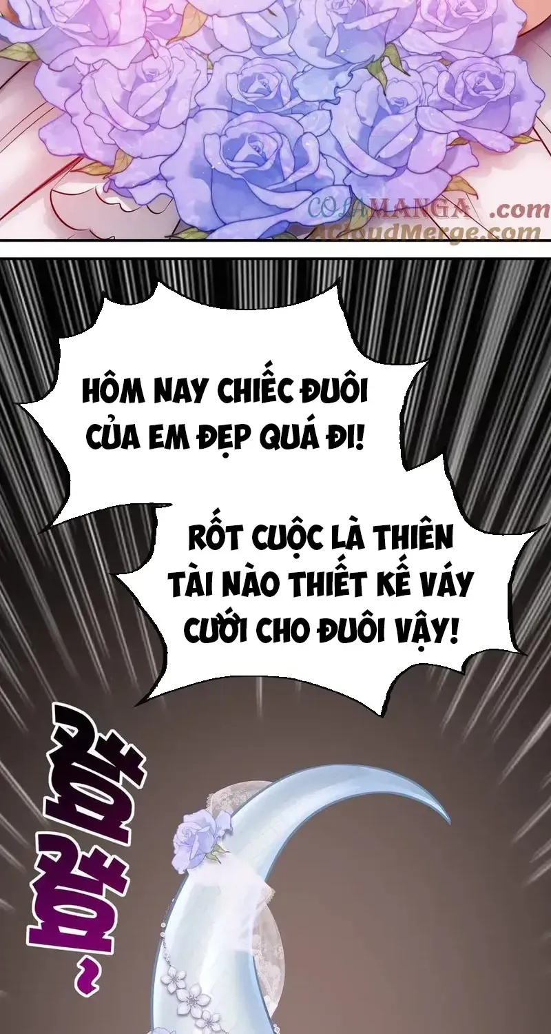 Chapter 71