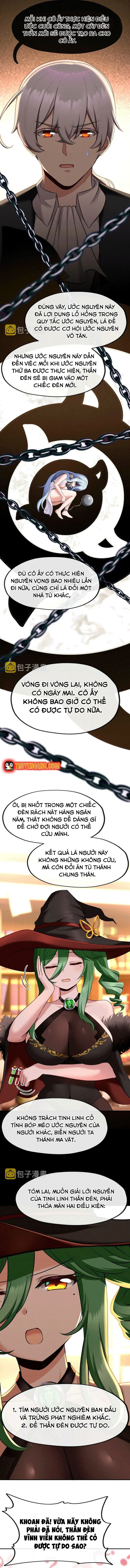 Chapter 11