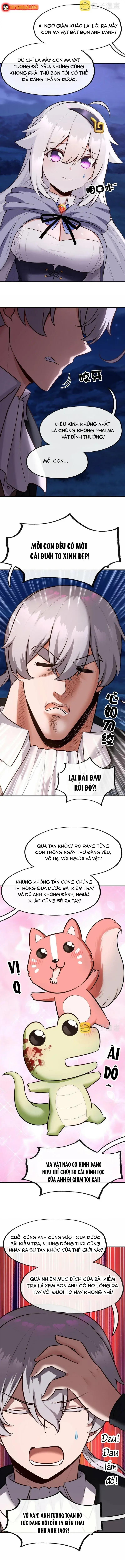Chapter 19