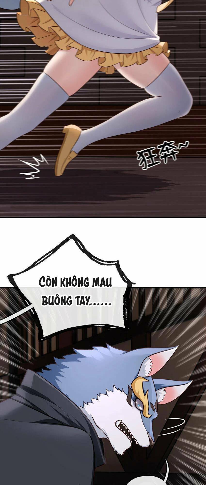 Chapter 5