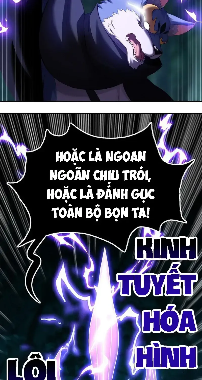 Chapter 51