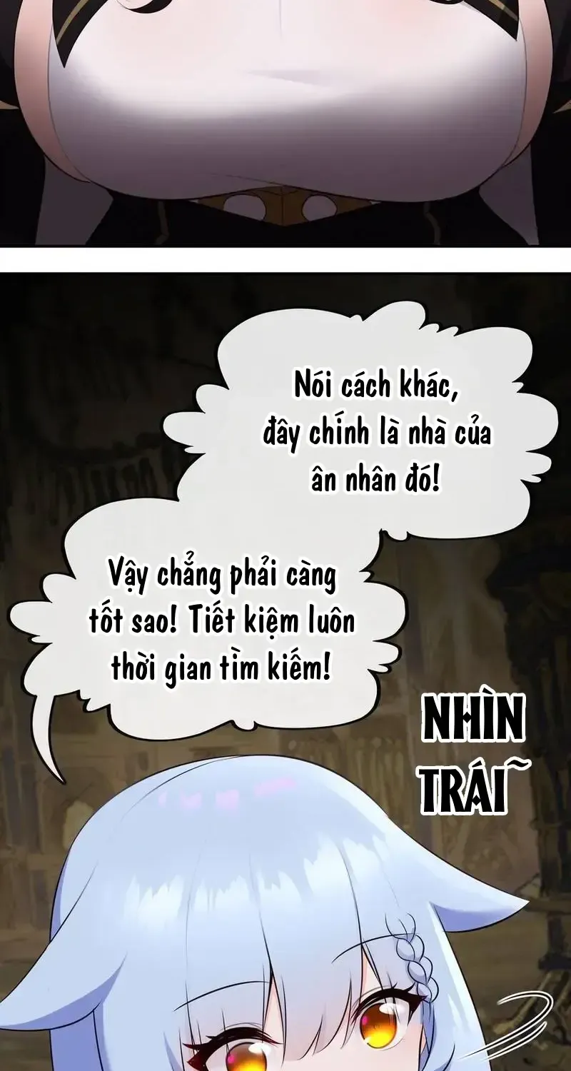 Chapter 53