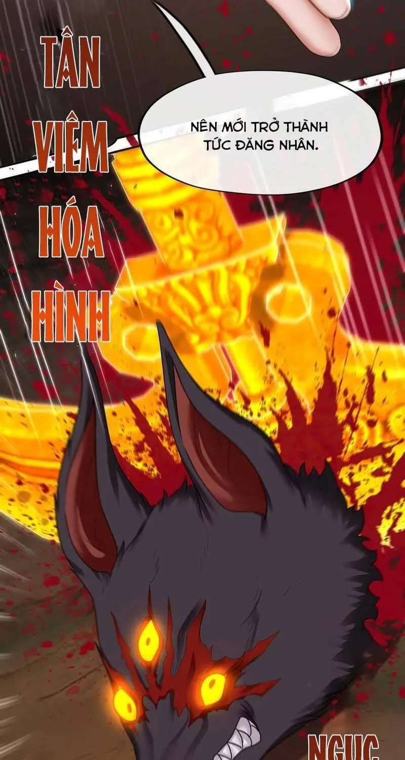Chapter 62