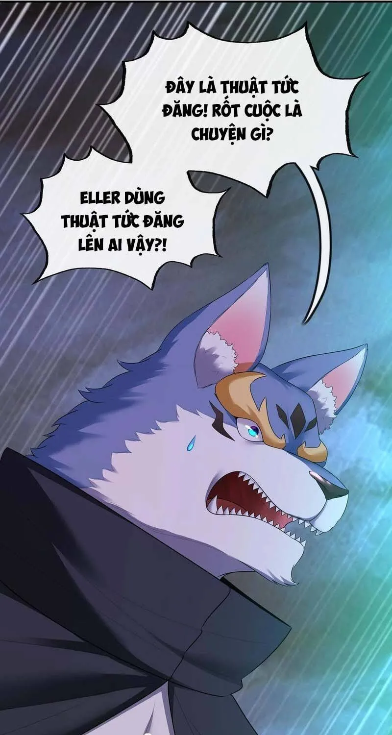 Chapter 62