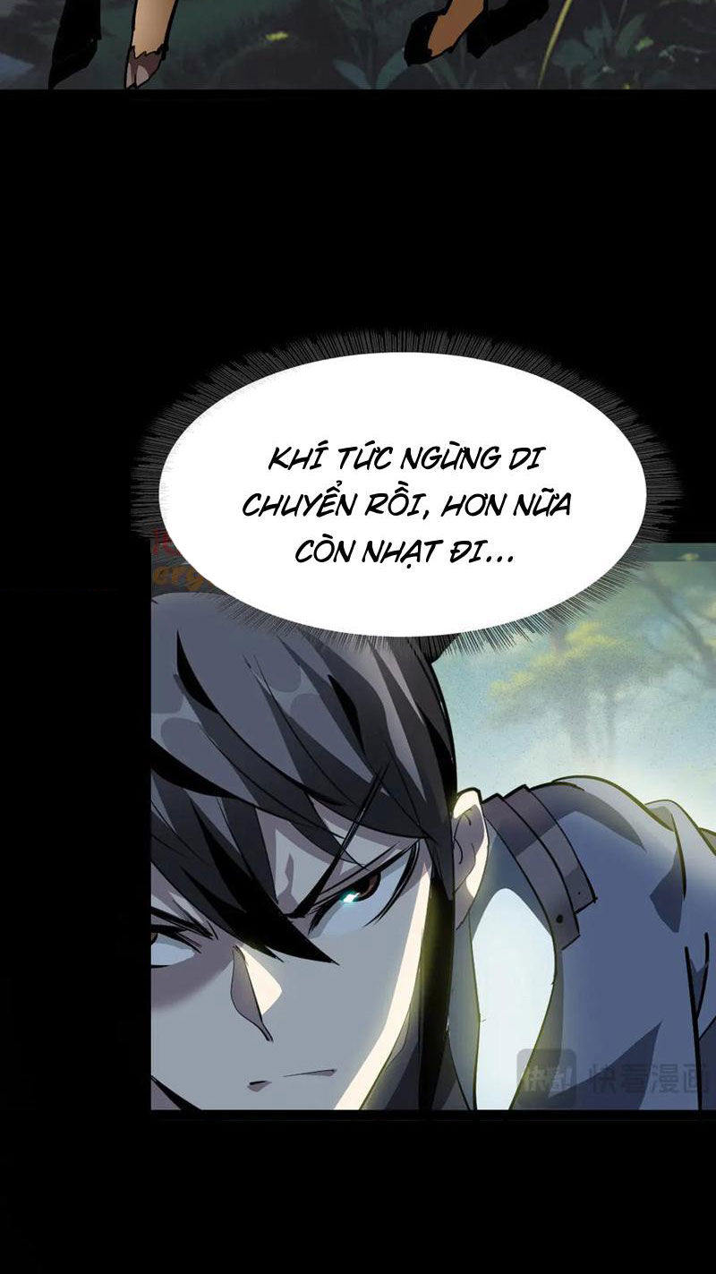 Chapter 11