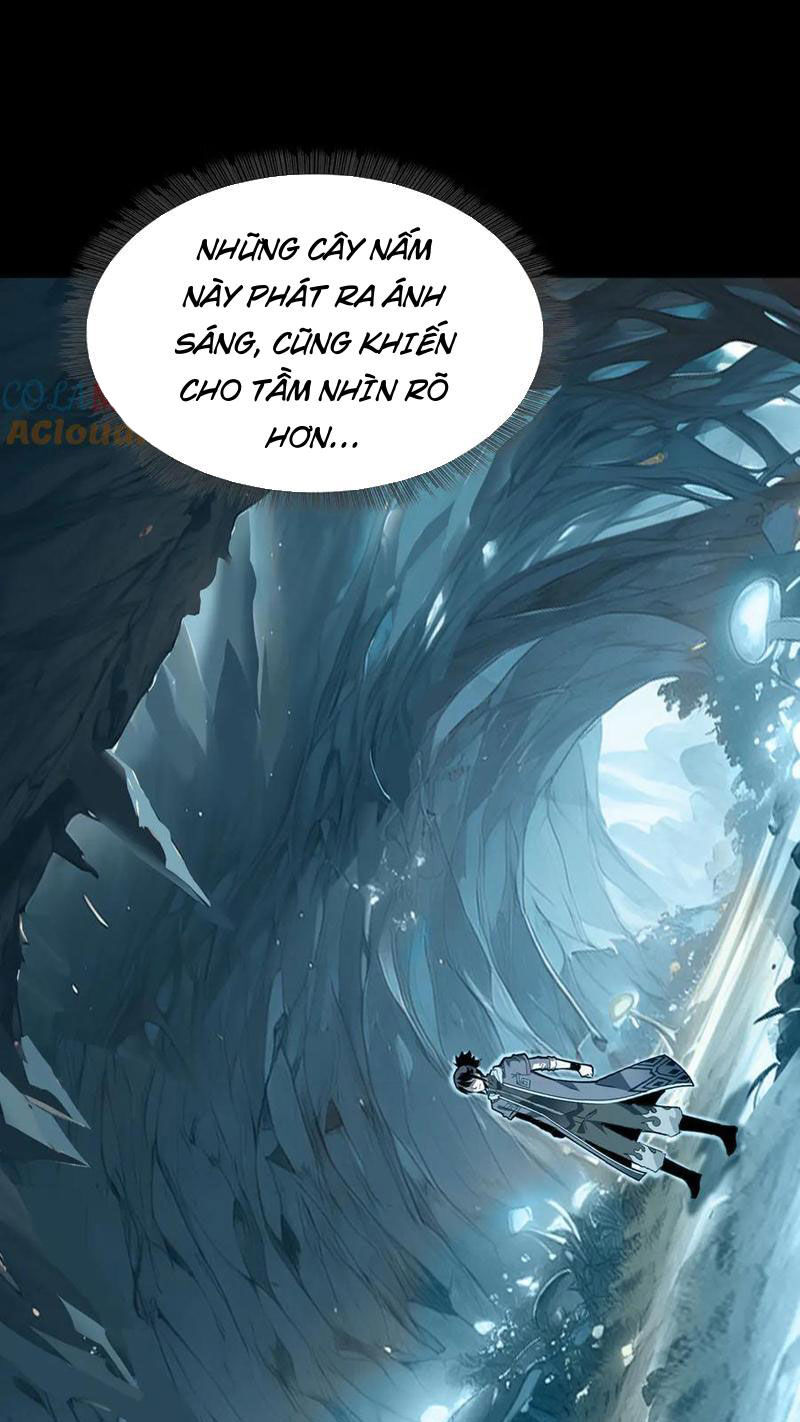 Chapter 11