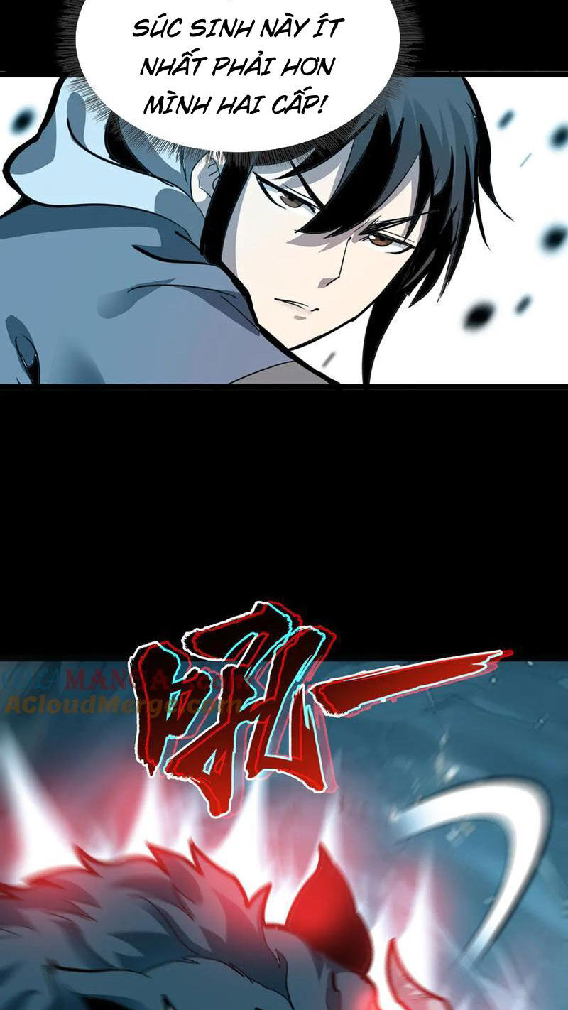Chapter 11