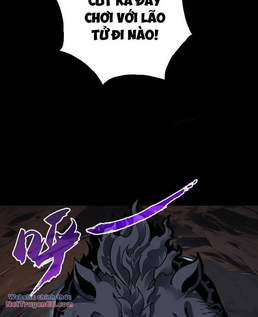 Chapter 12