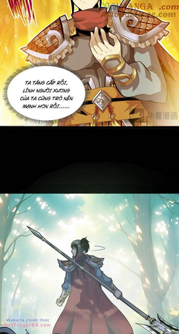 Chapter 13