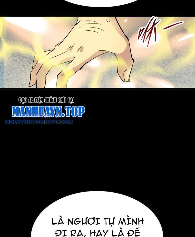 Chapter 15